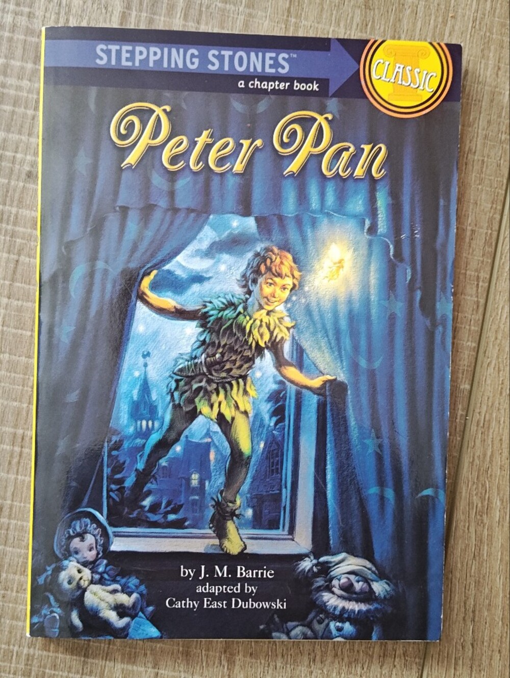 Stepping Stones Peter Pan Chapter Book